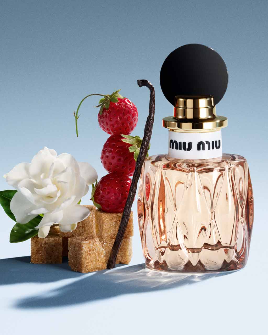 Gousse de vanille et cubes de sucre brun — notes de parfum