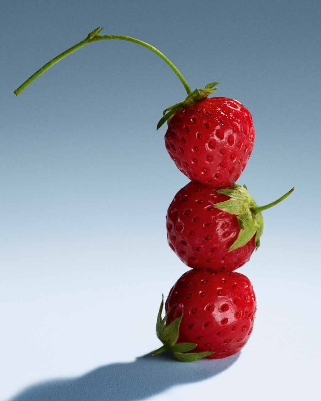 Fleurs de gardénia blanches — notes de parfum